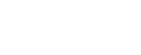 Logo APG - Austrian Power Grid